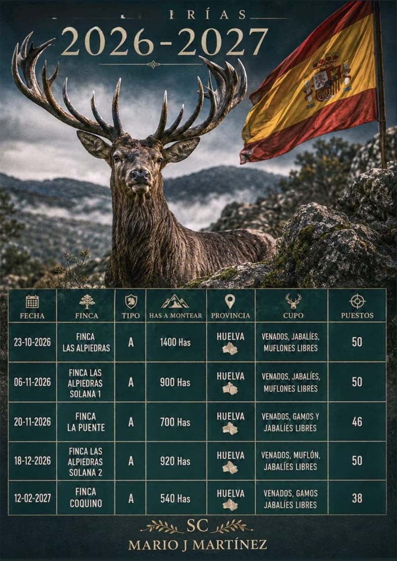 Programa Monterias MARIO J MARTINEZ